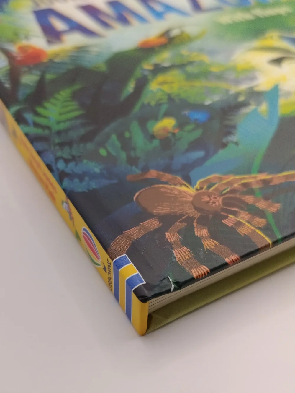 Extreme Planet Journey Through The Amazon A Lift-the-Flap Book NEW
